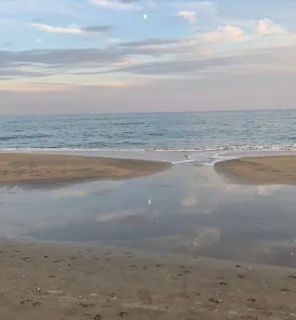 La Galinette Setoise 公寓 *